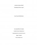 METODOLOGIA DEL MARCO LOGICO ACADEMIA DE IDIOMAS SMART