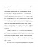 Siderúrgica mexicana y sector automotriz