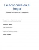 La economía en el hogar Evidencia: La economía en la organización