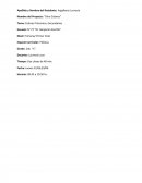 Plan de clases de artes visuals nivel primario