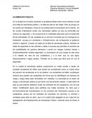 Cual es el Alumbrado publico