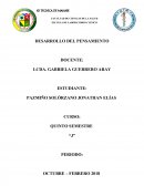 DESARROLLO DEL PROCESO DEL PENSAMIENTO