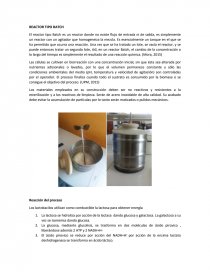 REACTOR TIPO BATCH. Página 1