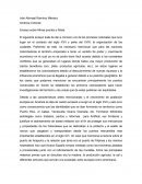 Ensayo sobre Minas puertos y flotas.