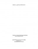 Ensayo, Que es un proyecto?