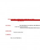 ENSAYO DEL VIDEO DE COMUNICACION HUMANA