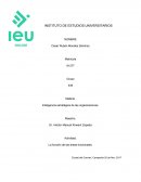 Como se da la funcion de las areas funcionales