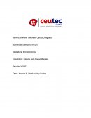 Nombre de la Empresa: Embotelladora Cholomeña S.A