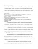 Análisis costo beneficio empresa Buffalucas Durango