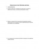 Tarea de vectoria Alteraciones de las Glándulas salivales