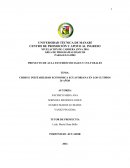 Como es que se da la Identidad y cultura