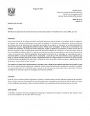 Segmentos de mercado Materia: Fundamentos de Mercadotecnia