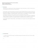 Cuales son los 4 niveles de Lectura - El silencio de Poe.