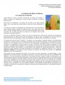 La historia del maíz. La historia del Maíz en México,