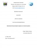 Un nuevo Informe de química nivel BI