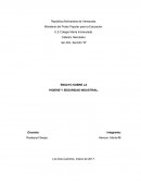 ENSAYO SOBRE LA HIGIENE Y SEGURIDAD INDUSTRIAL