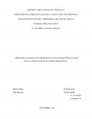 Ensayo PROGRAMA NACIONAL DE FORMACION EN CONTADURIA PÚBLICA (PNCP) PARA LA OBTENCION DE UN PERFIL PROFESIONAL.