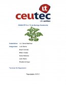 Proyecto de crear empresa