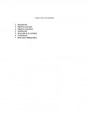 Como es que se debe dar el Resumen de fundamentos de las unidades de gestión integral