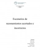 Escenarios de razonamientos acertados e incorrectos