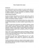 Cuales son las Técnicas de Hibridacion