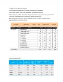 Principales cultivos agrícolas Guatavita