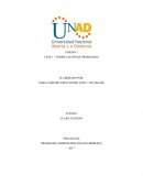 FASE 1 – FORMULACIÓN DE PROBLEMAS