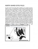 NORTH WARD ESTES FIELD.