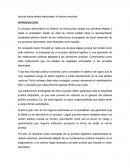 Apunte sobre delitos electorales: el turismo electoral.