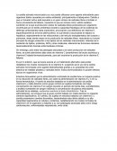 Zeolita activada micronizada