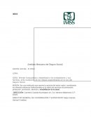Instituto Mexicano del Seguro Social