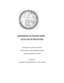 ¿Cuáles son los indicadores Psico-sociales de dicha violencia?
