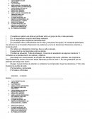 Examen VENTAJAS DE LOS EQUIPOS DE TRABAJO PARA LOS INDIVIDUOS