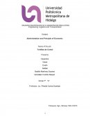 Ejemplo de una Tortilla de comal