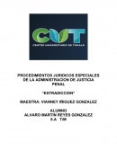 CUALES OSN LOS MEJORES PROCEDIMIENTOS JURIDICOS ESPECIALES DE LA ADMINISTRACION DE JUSTICIA PENAL