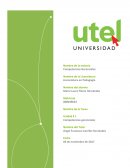 Como es que la sCompetencias gerenciales