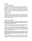 Como es que la Falta de aprovechamiento de recursos naturales en Turismo