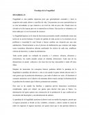 Paradoja de la Frugalidad