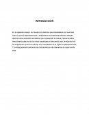 Mesoamerica Historia