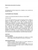 PLANTEAMIENTO DEL PROBLEMA: Determinantes de la pobreza