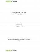 CONTADURÍA PÚBLICA TALLER