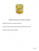 Como es que se da una Introduccion al servicio social