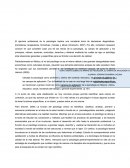ENSAYO SOBRE LAS RAMAS DE PSICOLOGÍA, SU CAMPO DE APLICACIÓN Y EL ROL DEL PSICÓLOGO