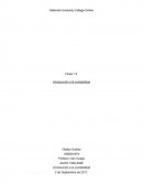 Fundamentos y actividades relacionadas con la contabilidad