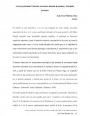 Ensayo sobre la corteza prefrontal Corteza prefrontal: Ubicación, estructura, métodos de estudio y Principales patologías.