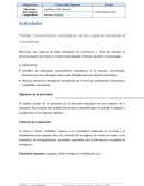 Actividades Trabajo: Características estratégicas de una empresa orientada al e-commerce