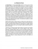 Ensayo La Metamorfosis