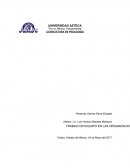 TRABAJO EN EQUIPO EN LAS ORGANIZACIONES PRIVADAS