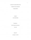 Como es que se da un buen Caso fraude parmalat