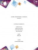 Algebra, trigonometria y geometria. Actividad colaborativa